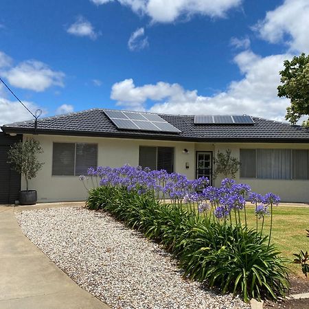 Para House, Tanunda. In The Heart Of The Barossa Valley!. Villa Eksteriør bilde