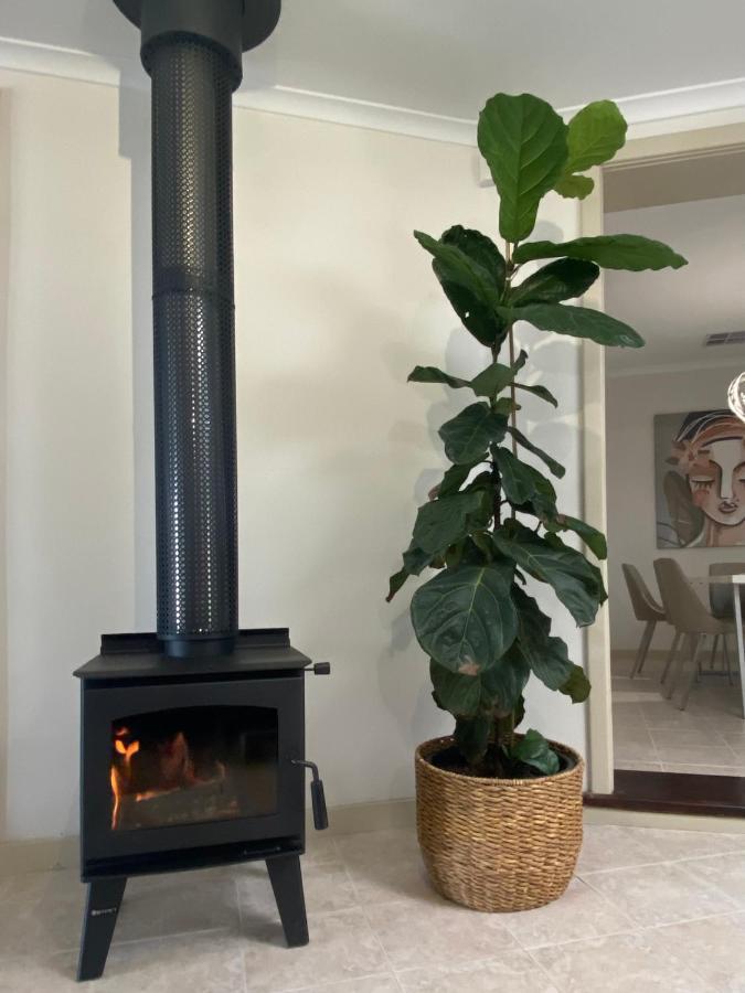 Para House, Tanunda. In The Heart Of The Barossa Valley!. Villa Eksteriør bilde